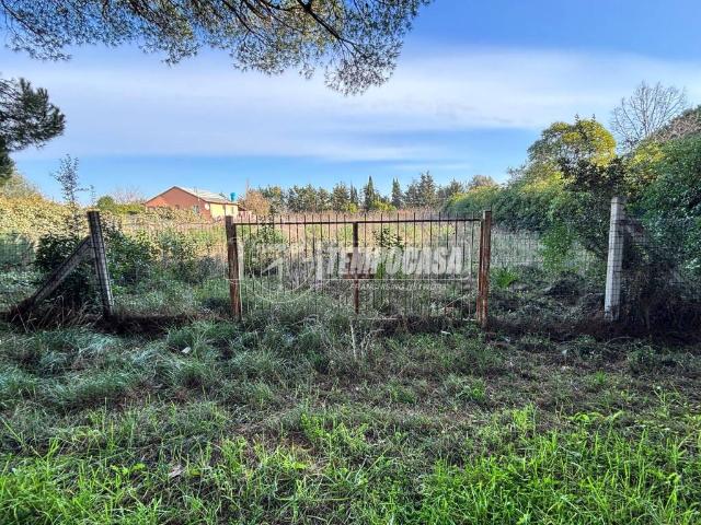 Terreno in vendita a Tarquinia VT