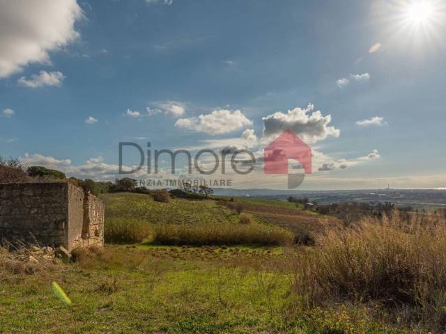 Terreno in vendita a Tarquinia VT
