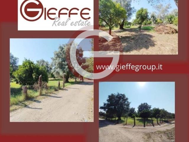 Terreno in vendita a Taurianova RC