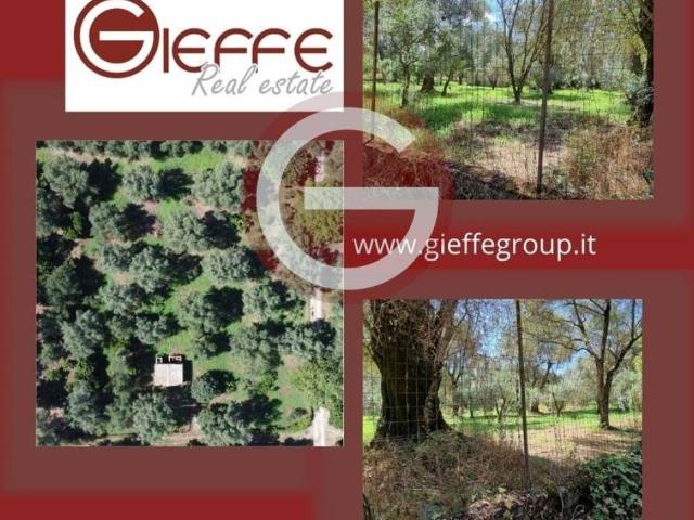 Terreno in vendita a Taurianova RC