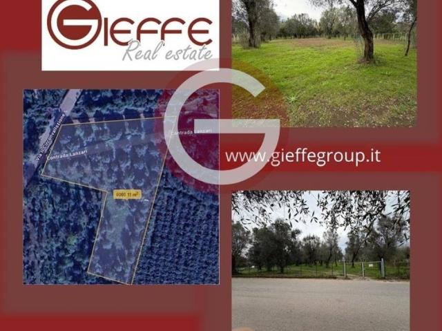 Terreno in vendita a Taurianova RC