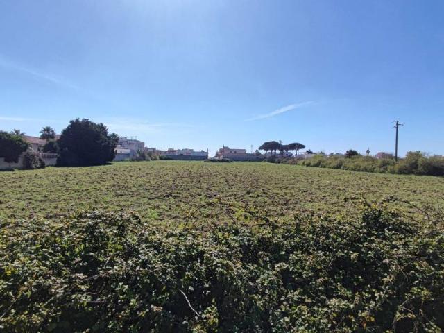 Terreno in vendita a Taurisano LE
