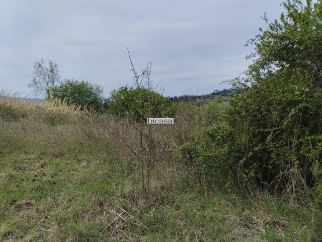 Terreno in vendita a Tavullia PU