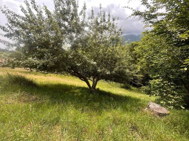 Terreno in vendita a Tavigliano BI