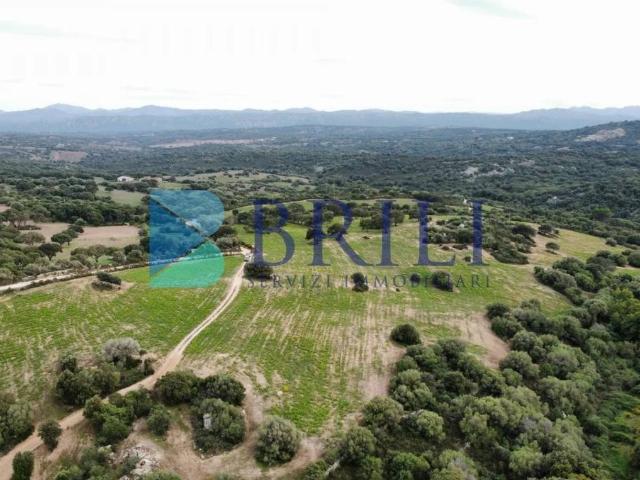 Terreno in vendita a Telti OT