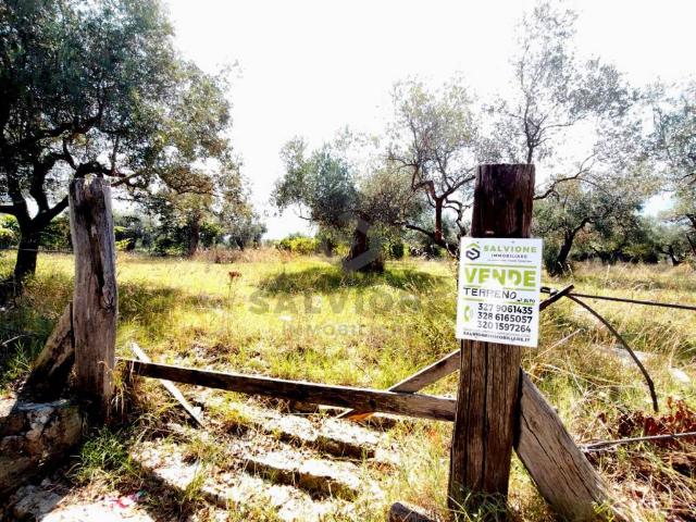 Terreno in vendita a Telese Terme BN