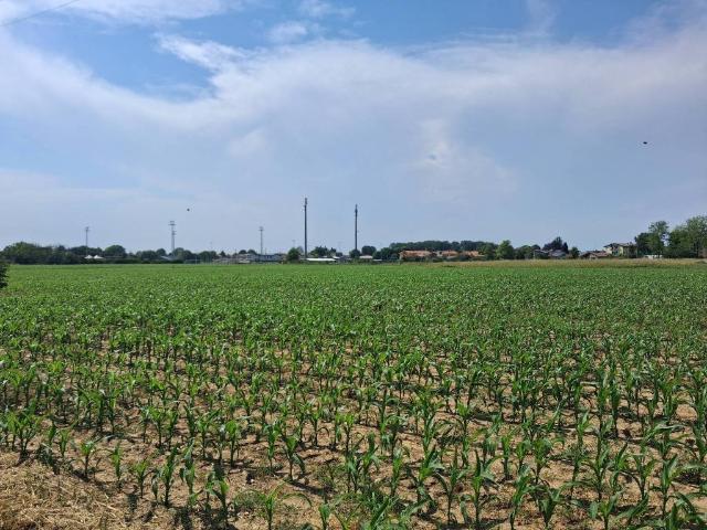Terreno in vendita a Terzo d'Aquileia UD