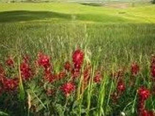 Terreno in vendita a Teramo TE