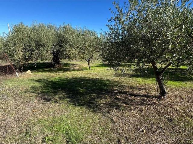 Terreno in vendita a Termini Imerese PA