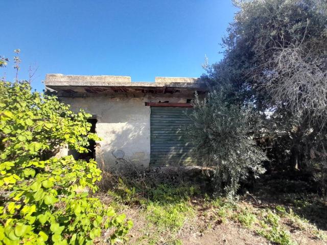 Terreno in vendita a Termini Imerese PA