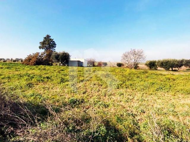 Terreno in vendita a Termoli CB