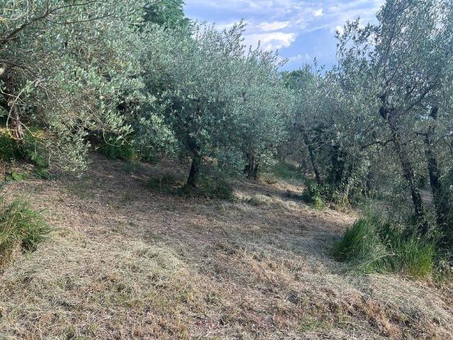 Terreno in vendita a Terni TR