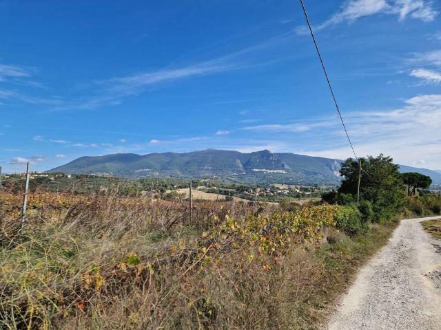Terreno in vendita a Terni TR
