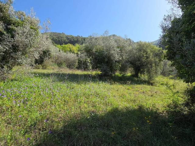 Terreno in vendita a Terni TR
