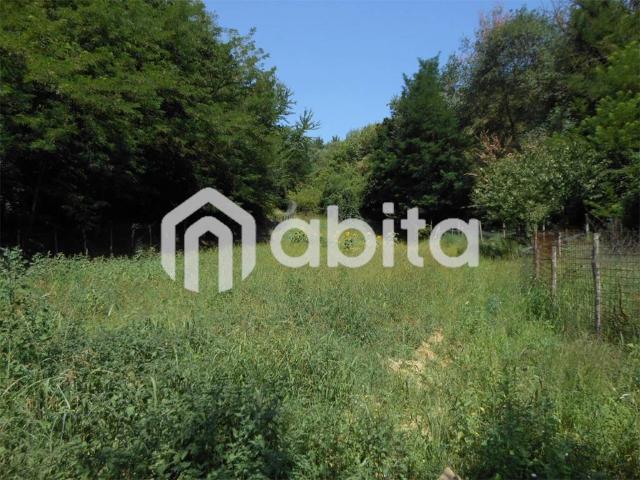 Terreno in vendita a Terranuova Bracciolini AR
