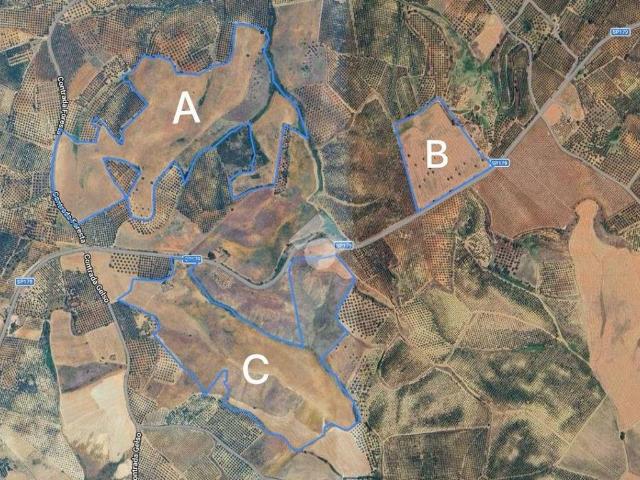 Terreno in vendita a Terranova da Sibari CS