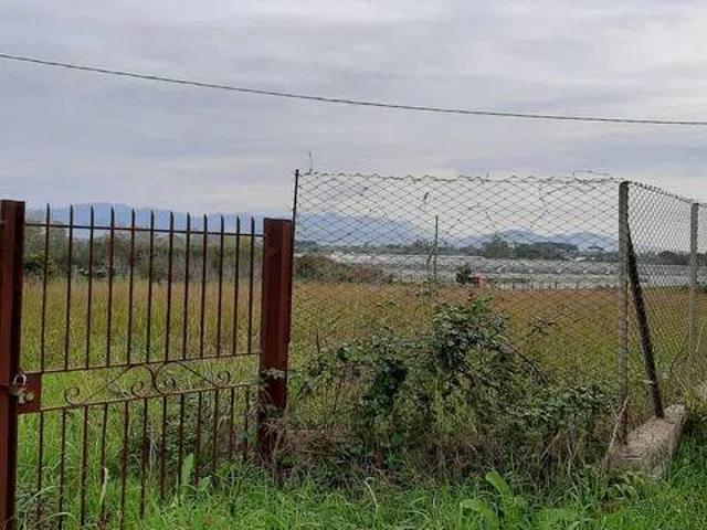 Terreno in vendita a Terracina LT