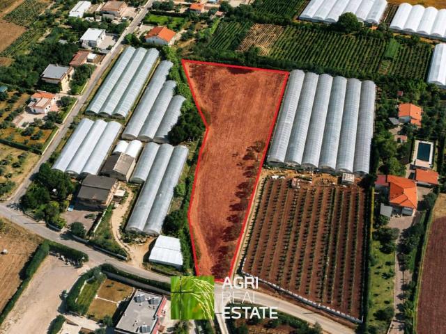 Terreno in vendita a Terracina LT