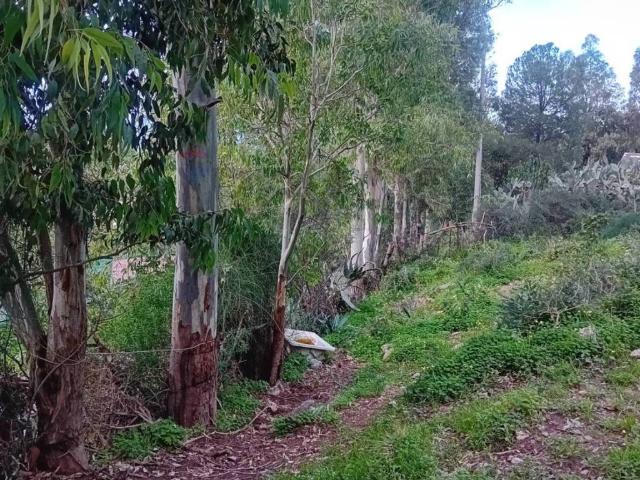 Terreno in vendita a Terrasini PA