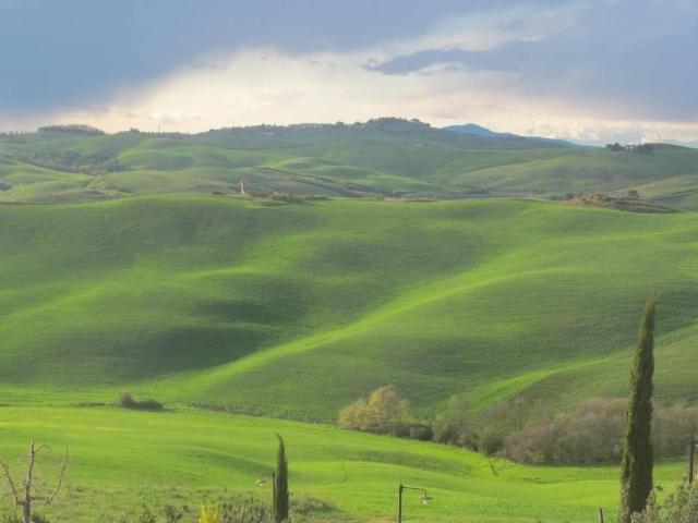 Terreno in vendita a Terricciola PI