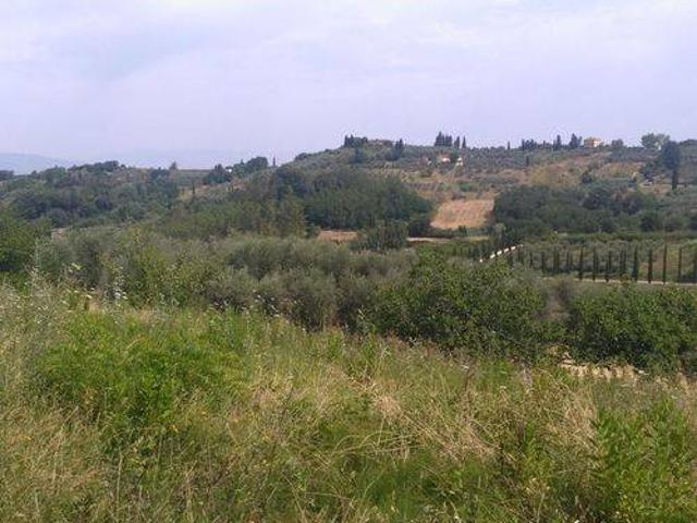 Terreno in vendita a Terricciola PI