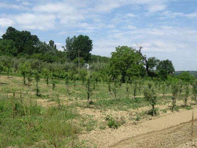 Terreno in vendita a Terricciola PI