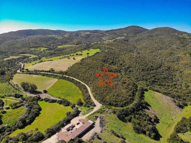 Terreno in vendita a Teulada CI