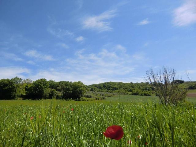 Terreno in vendita a Todi PG