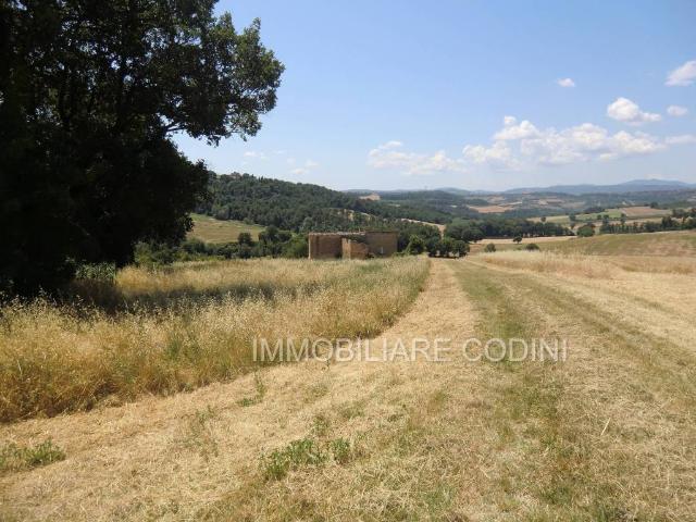 Terreno in vendita a Todi PG