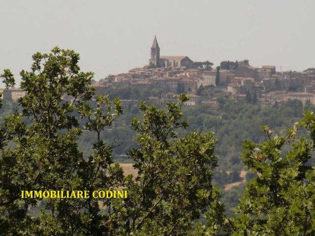 Terreno in vendita a Todi PG