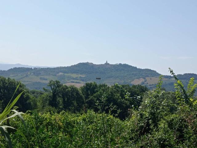 Terreno in vendita a Todi PG