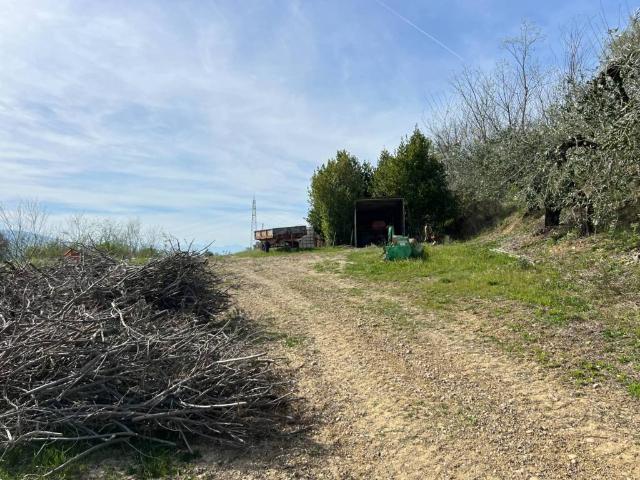 Terreno in vendita a Tortoreto TE