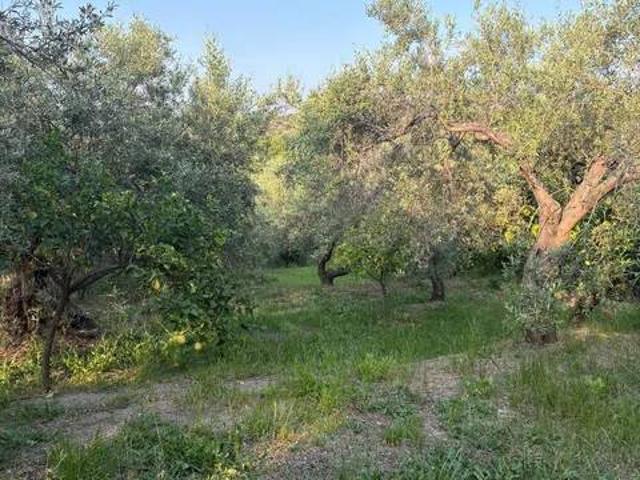 Terreno in vendita a Tortorici ME