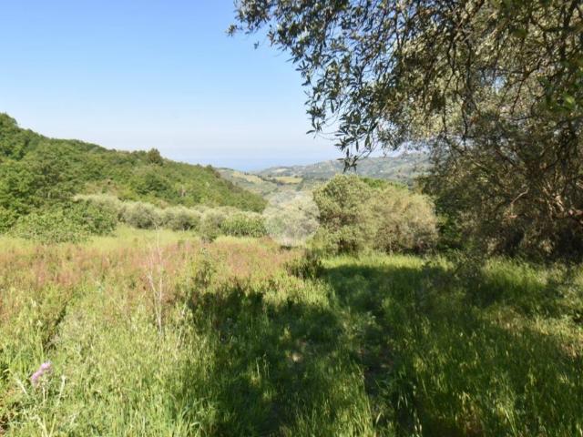 Terreno in vendita a Torchiara SA