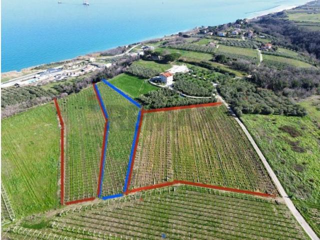 Terreno in vendita a Torino di Sangro CH