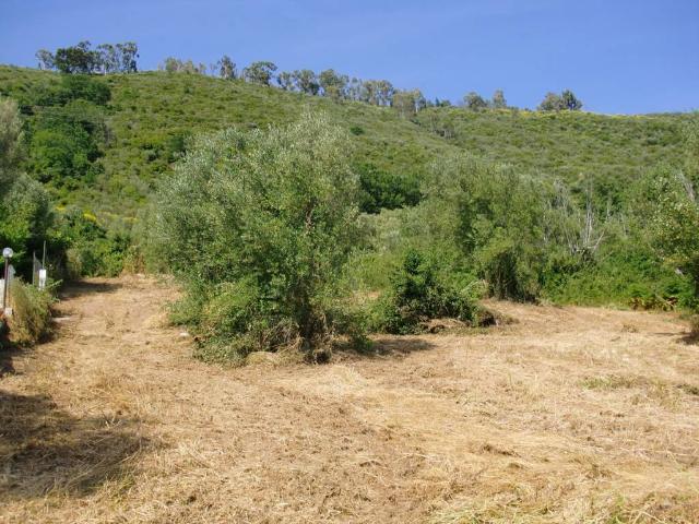 Terreno in vendita a Torre Orsaia SA