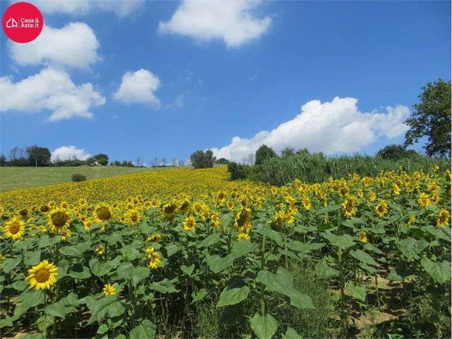 Terreno in vendita a Torre San Patrizio FM