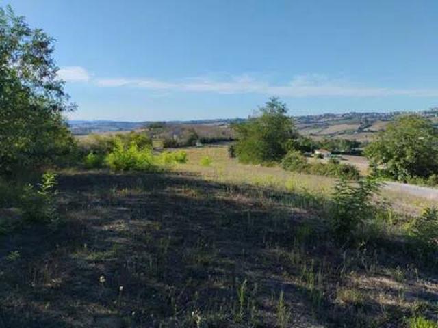 Terreno in vendita a Torre San Patrizio FM
