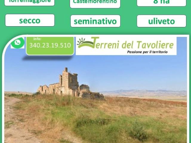 Terreno in vendita a Torremaggiore FG
