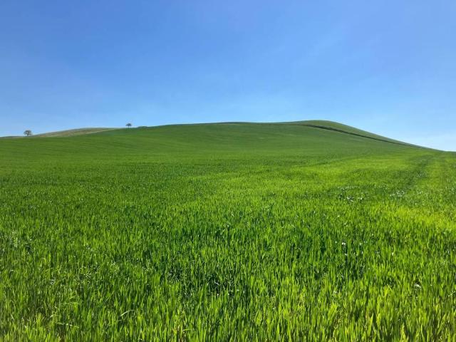 Terreno in vendita a Torremaggiore FG