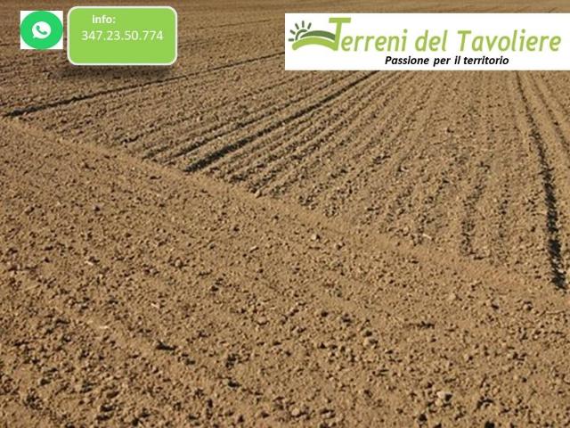 Terreno in vendita a Torremaggiore FG