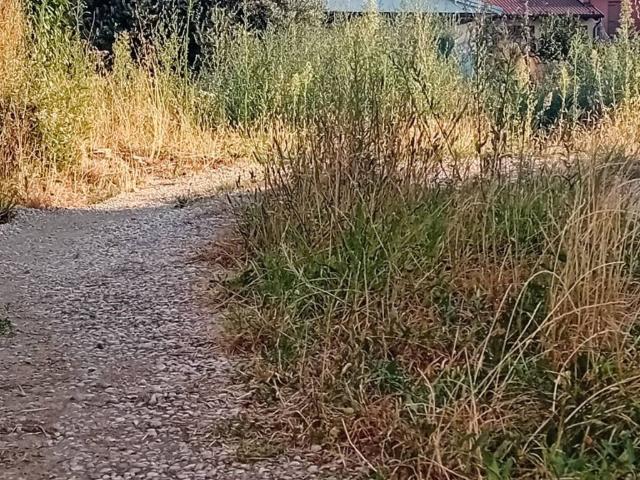 Terreno in vendita a Torreglia PD