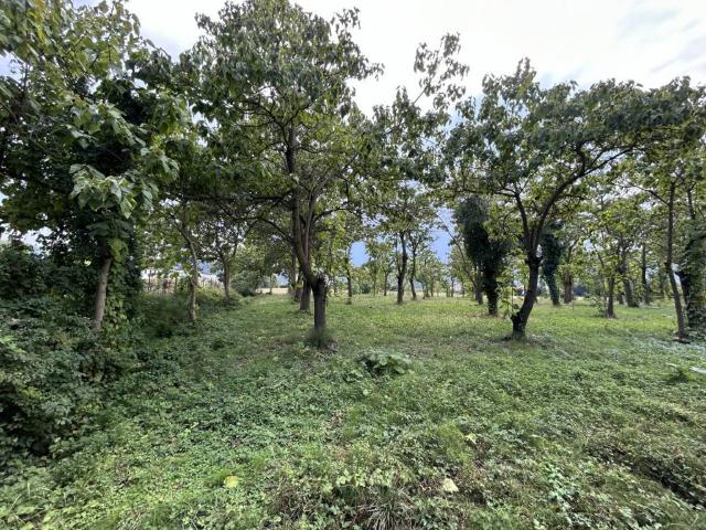 Terreno in vendita a Torreglia PD