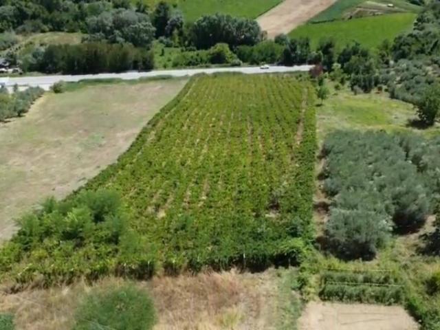 Terreno in vendita a Torrevecchia Teatina CH