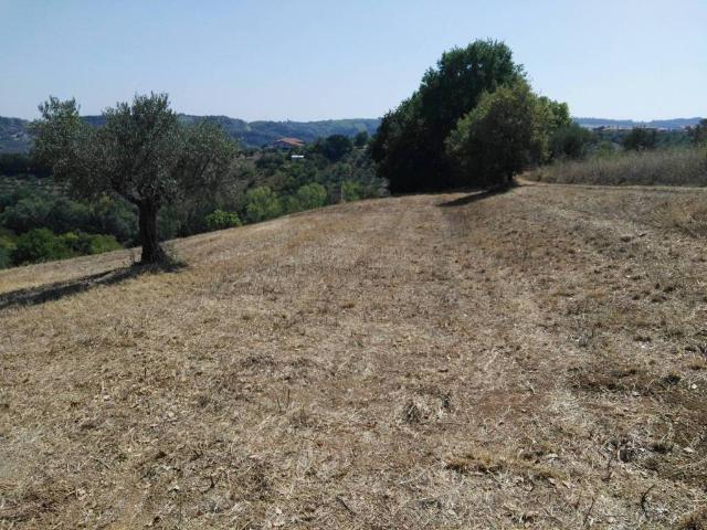 Terreno in vendita a Torrevecchia Teatina CH