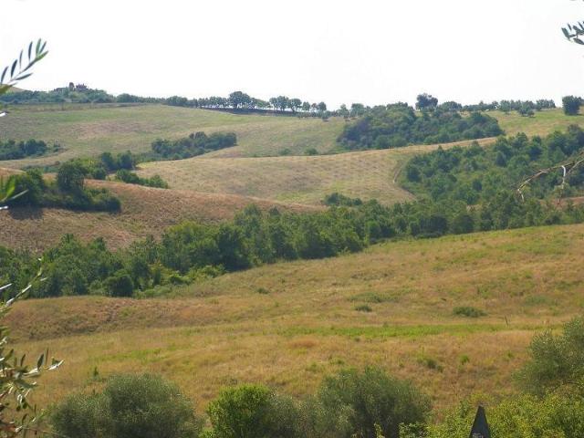 Terreno in vendita a Torrita di Siena SI
