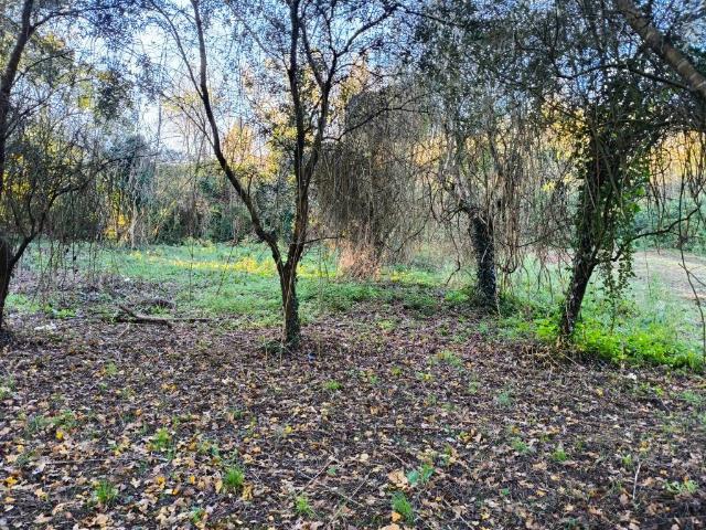 Terreno in vendita a Torrita Tiberina RM