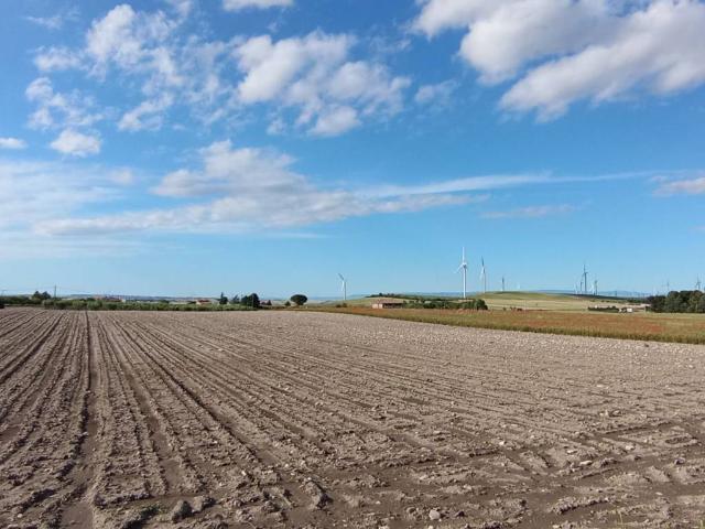 Terreno in vendita a Troia FG