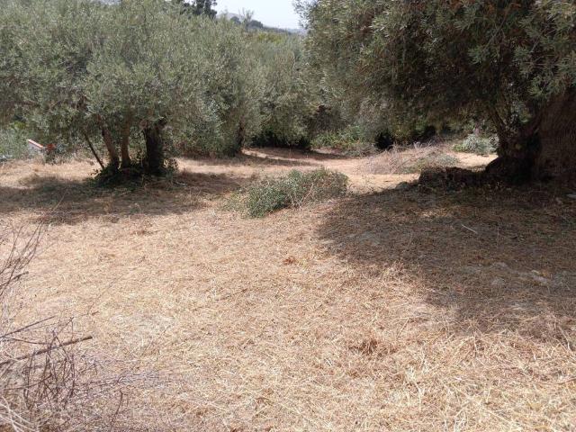 Terreno in vendita a Trabia PA