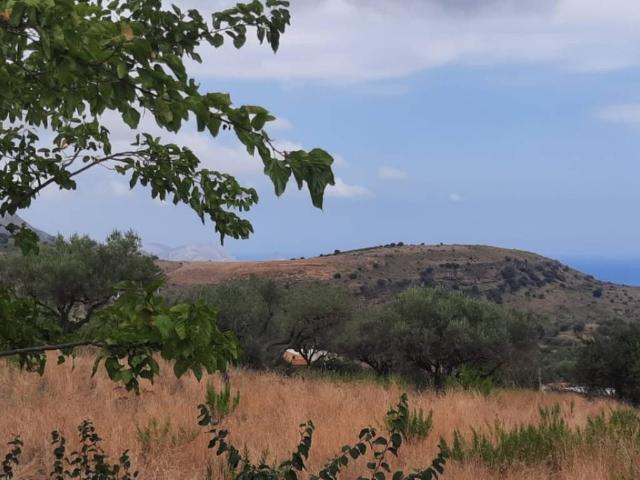 Terreno in vendita a Trabia PA